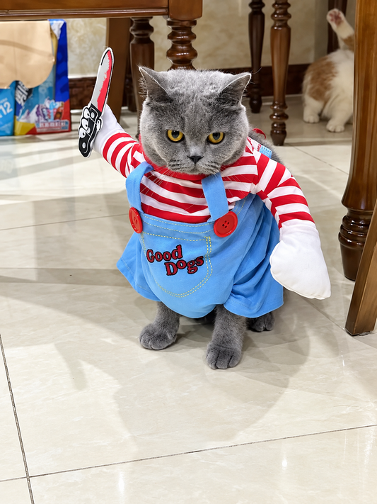 Chucky Pets Cosplay