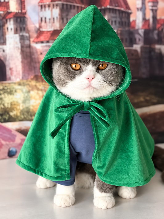 Attack Titaner Pet Cape